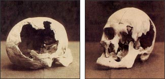 [Image: skulls.jpg?w=325&h=156]